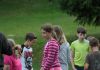 alb493_img29204.jpg