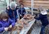 alb497_img29281.jpg