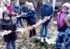 alb497_img29285.jpg