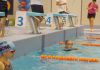 alb500_img29342.jpg
