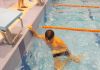 alb500_img29346.jpg