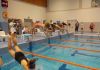 alb500_img29348.jpg