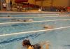 alb500_img29352.jpg