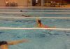 alb500_img29353.jpg
