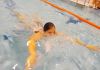 alb500_img29368.jpg