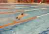 alb500_img29370.jpg