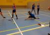 alb501_img29433.jpg